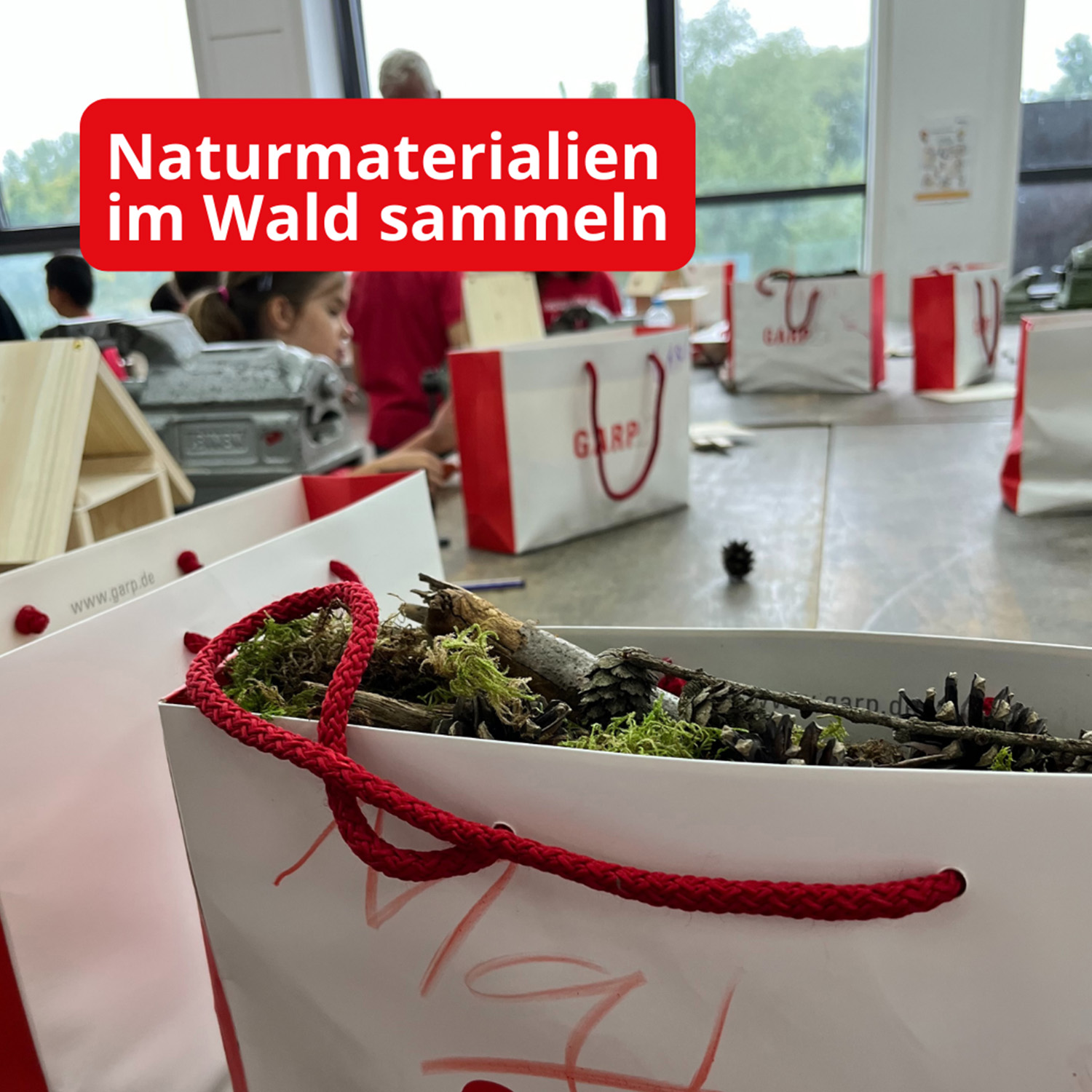 Naturmaterialien im Wald sammeln